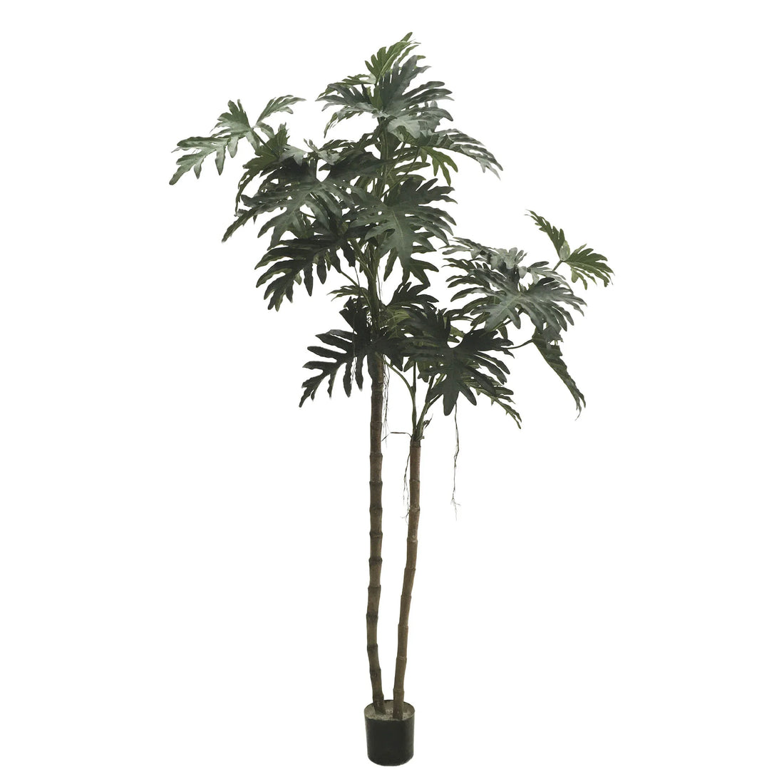 Philodendron artificial con 2 Troncos de 220 cm, color verde