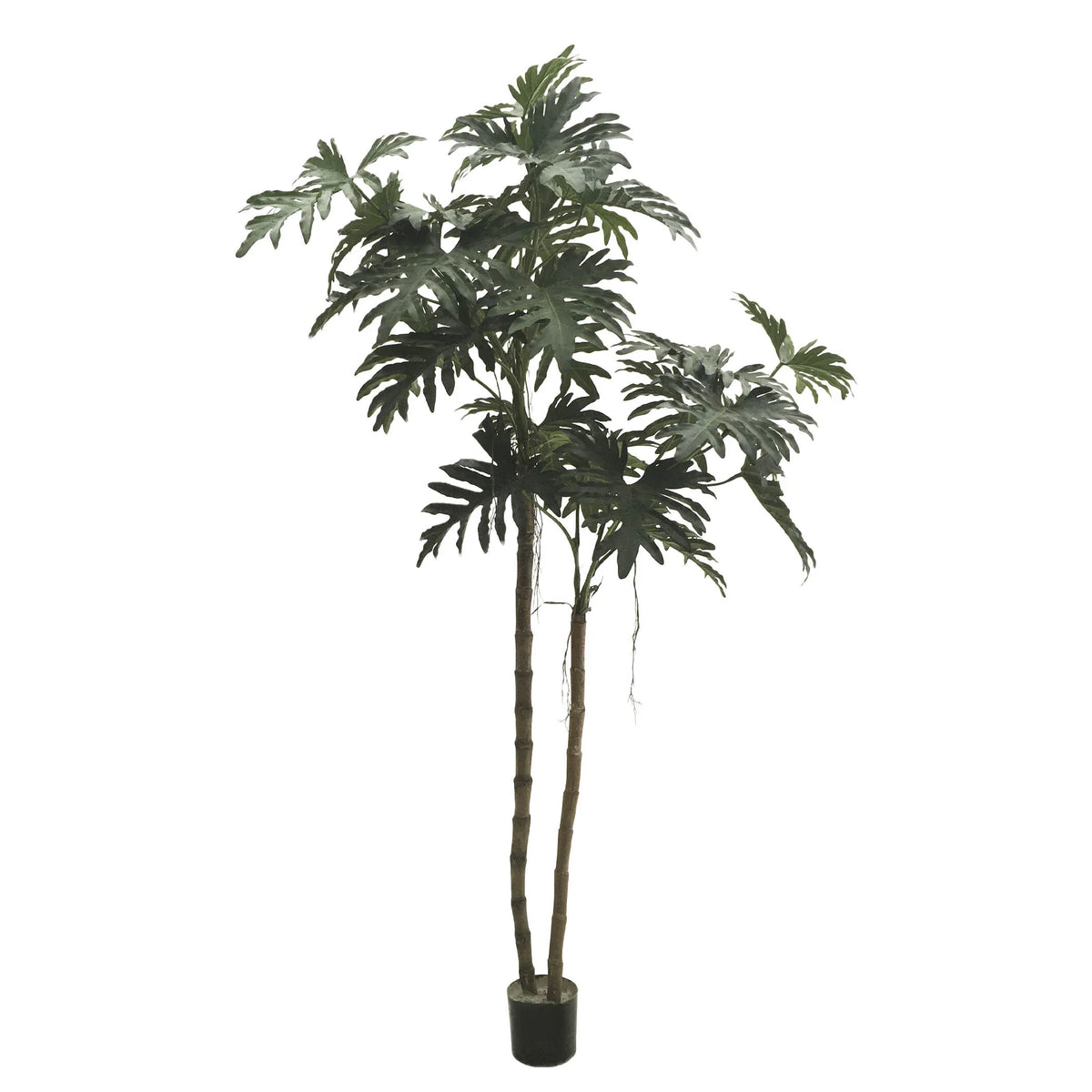 Philodendron artificial con 2 Troncos de 220 cm, color verde