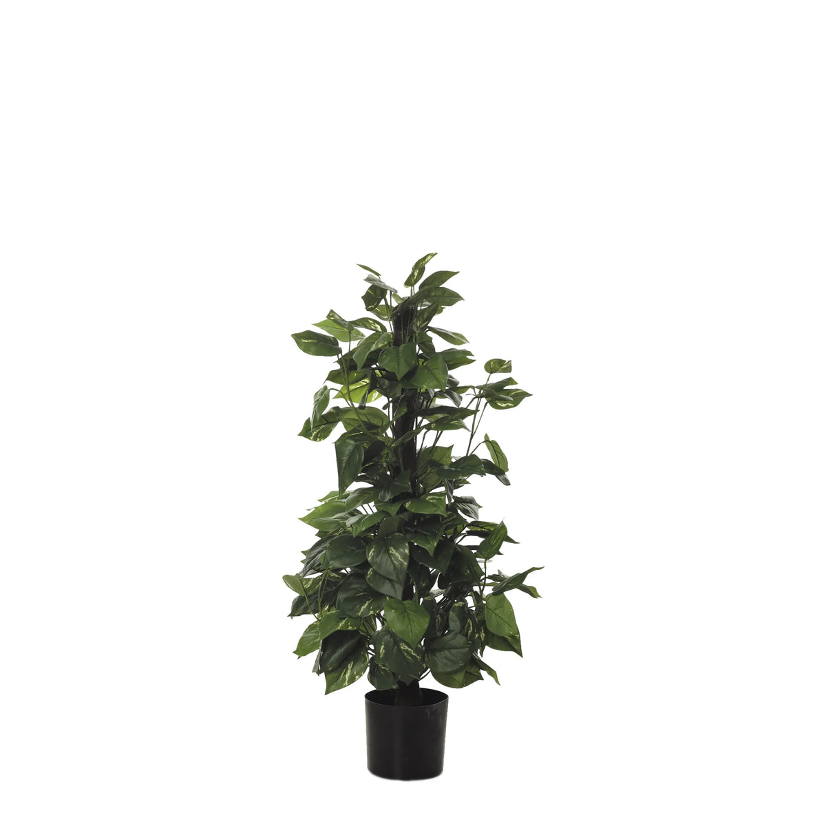 Philodendron artificial con Tutor de 95 cm, color verde