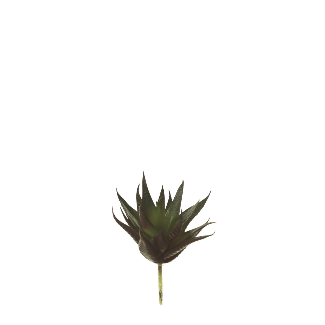 Pick de Aloe artificial Pequeño de 15 cm, color verde