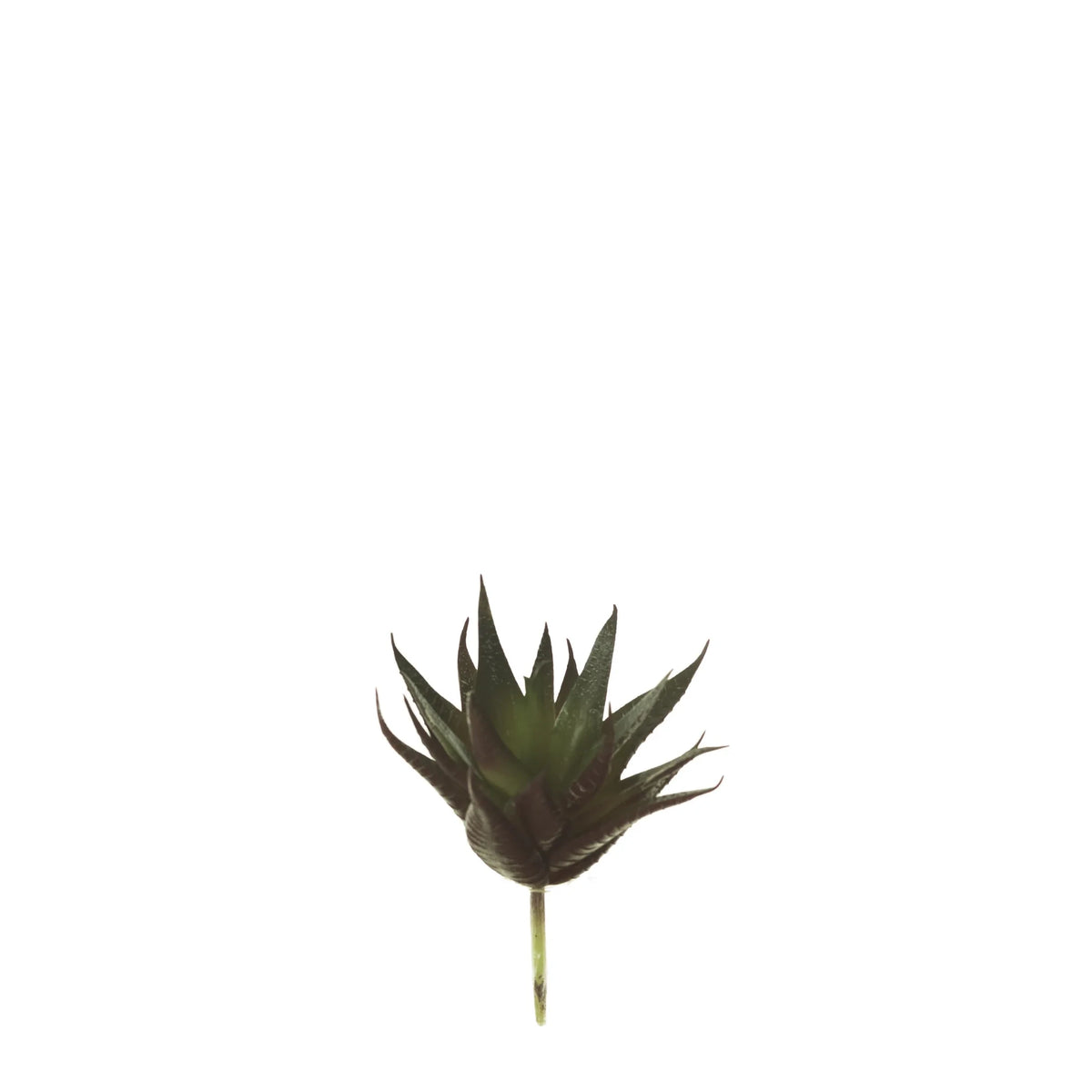 Pick de Aloe artificial Pequeño de 15 cm, color verde