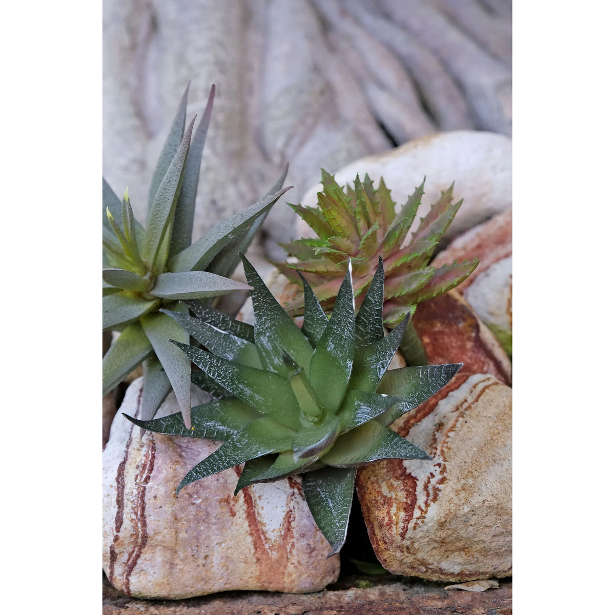 Montaje: pick de Aloe artificial Pequeño de 15 cm, color verde; las otras piezas no se incluyen