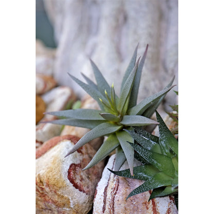 Montaje: pick de Aloe artificial Pequeño de 15 cm, color verde; las otras piezas no se incluyen