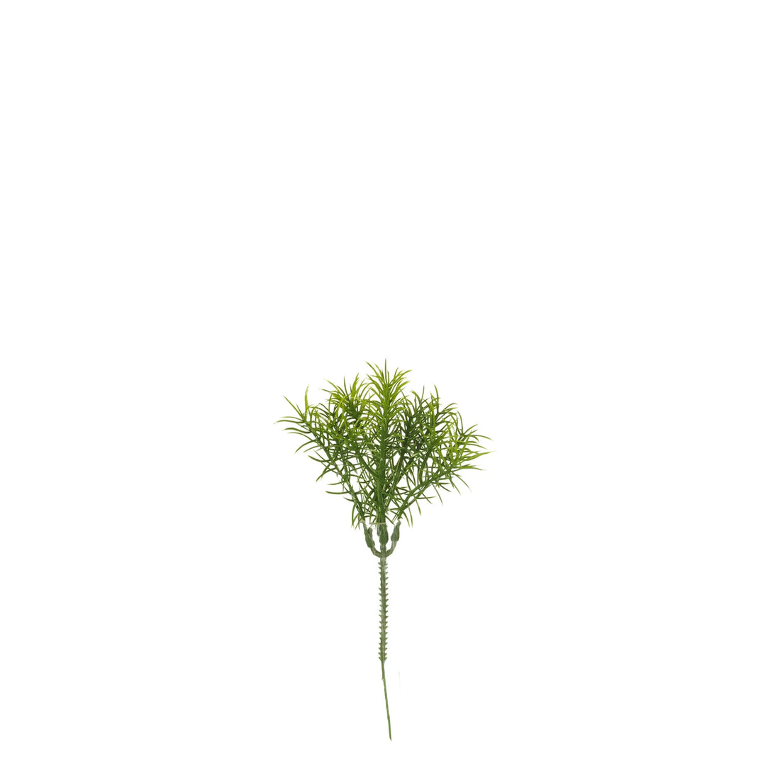 Pick de Asparagus Sprengeri artificial de 20 cm, color verde