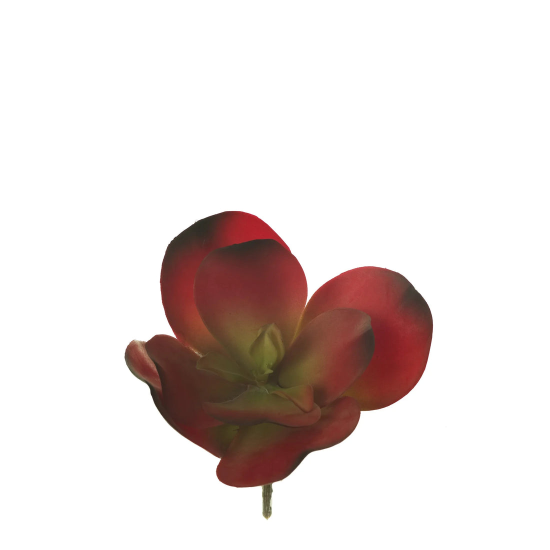 Pick de Cotyledon artificial Grande de 23 cm, color rojo