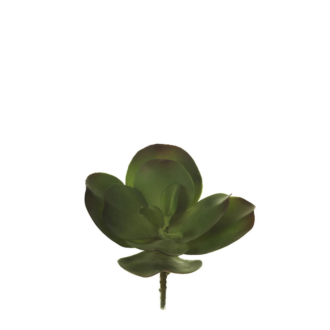 Pick de Cotyledon artificial Grande de 23 cm, color verde
