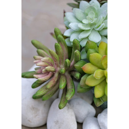 Montaje: pick de Dedos de Dios artificial de 14 cm, color verde; las otras piezas no se incluyen