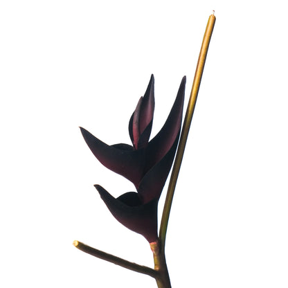 Pick de Heliconia artificial Mini de 36 cm, color burdeos