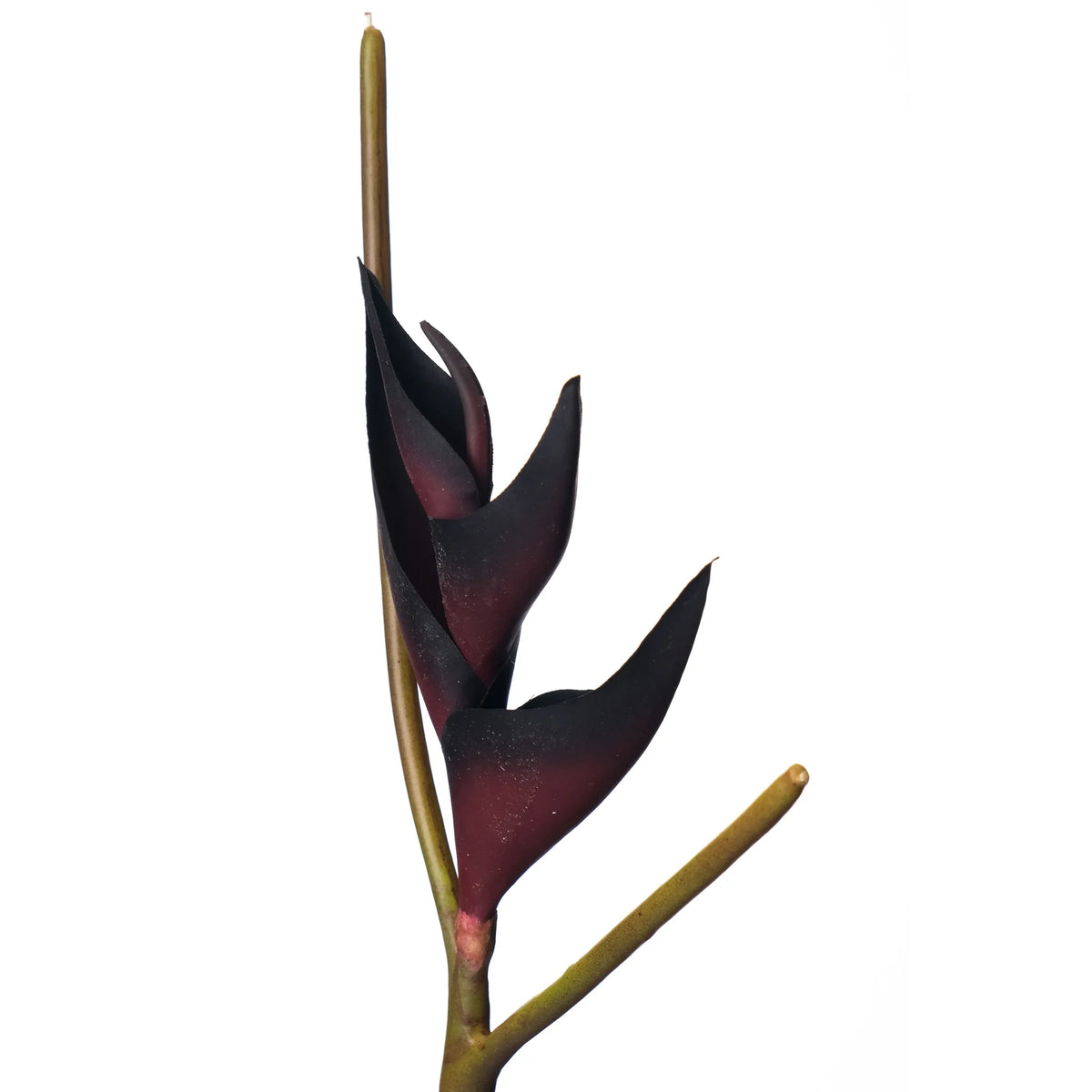 Pick de Heliconia artificial Mini de 36 cm, color burdeos