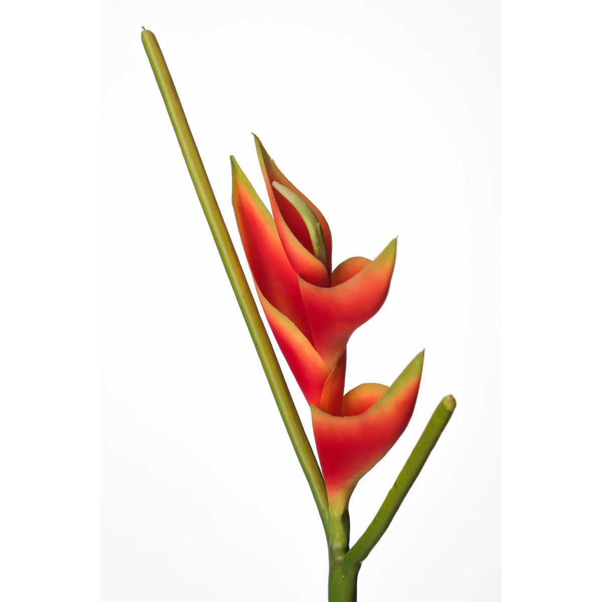 Pick de Heliconia artificial Mini de 36 cm, color rojo