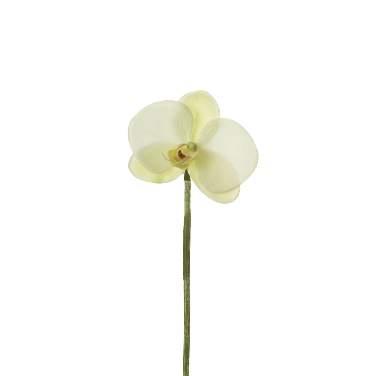 Pick de Orquídea Phalaenopsis artificial de 22 cm, color blanco
