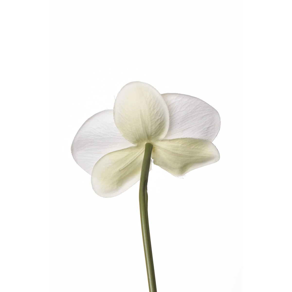 Pick de Orquídea Phalaenopsis artificial de 22 cm, color blanco