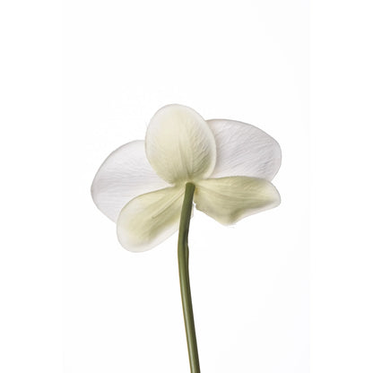 Pick de Orquídea Phalaenopsis artificial de 22 cm, color blanco