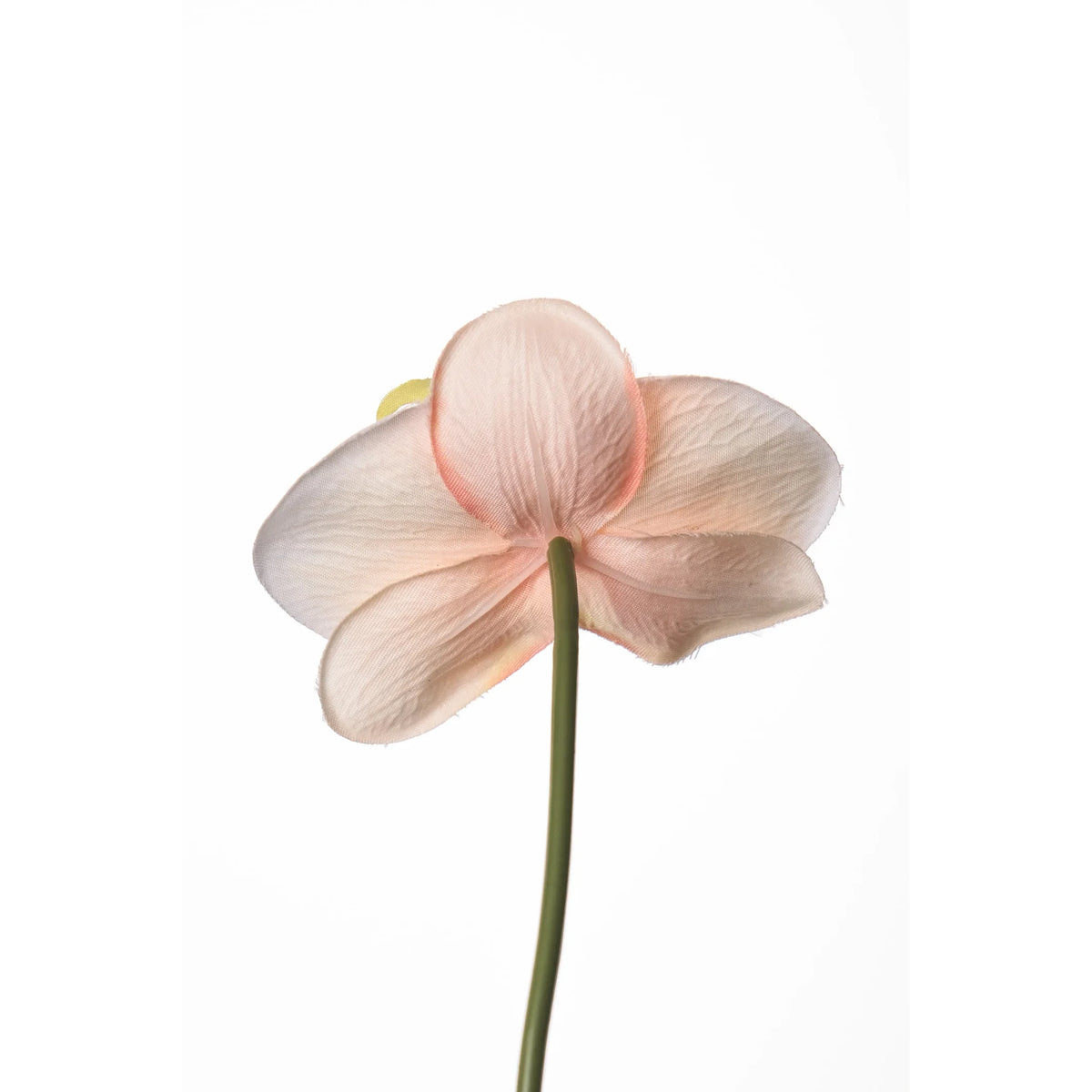 Pick de Orquídea Phalaenopsis artificial de 22 cm, color rosa