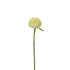 Pick de Ranúnculo artificial Mini de 23 cm, color blanco