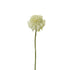 Pick de Scabiosa artificial de 23 cm, color blanco