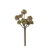 Pick de Suculenta artificial de 23 cm, color verde