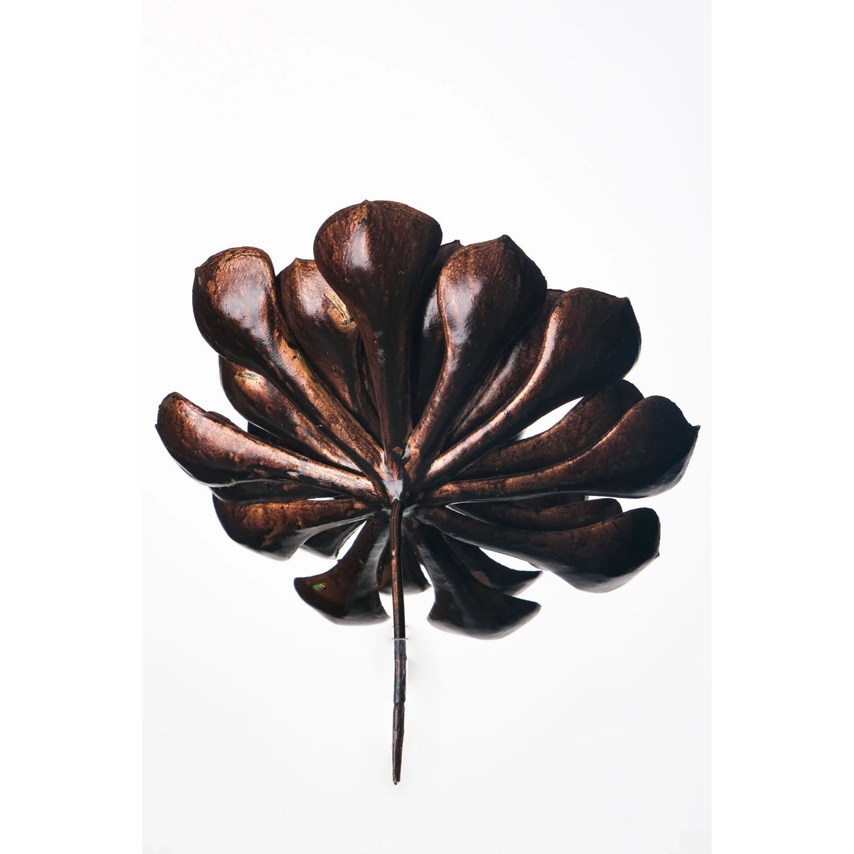 Pick de Suculenta Bronce artificial Grande de 20 cm, color burdeos