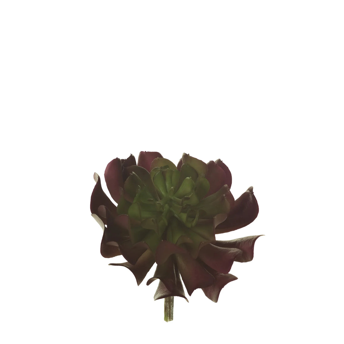 Pick de Suculenta Runyoni artificial Mediano de 17 cm, color burdeos