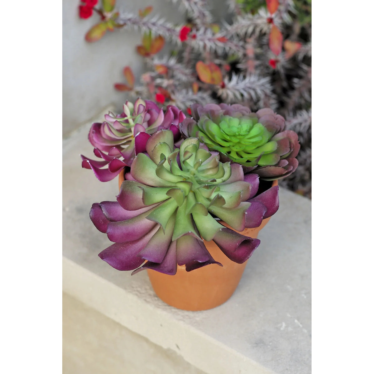 Montaje: pick de Suculenta Runyoni artificial Pequeño de 14 cm, color burdeos; las otras piezas no se incluyen