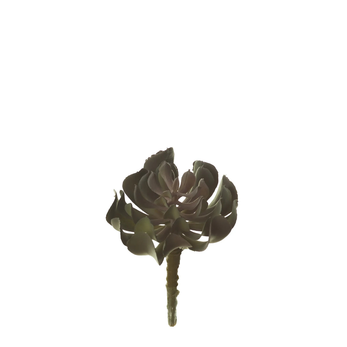 Pick de Suculenta Runyoni artificial Pequeño de 14 cm, color verde