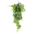 Planta colgante HOJA DE PARRA - Dekogreen®