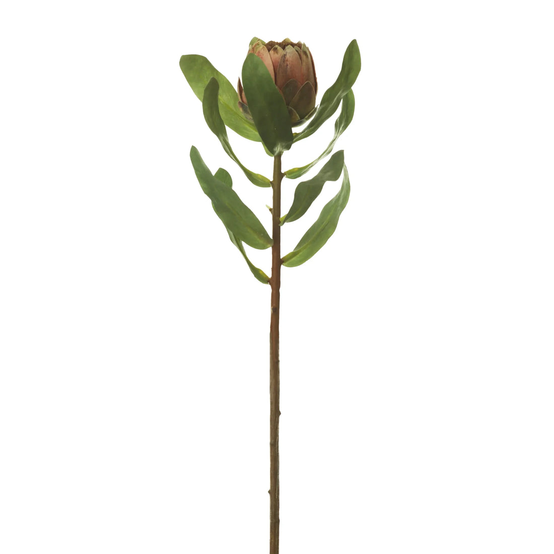 Protea artificial de 47 cm, color rosa