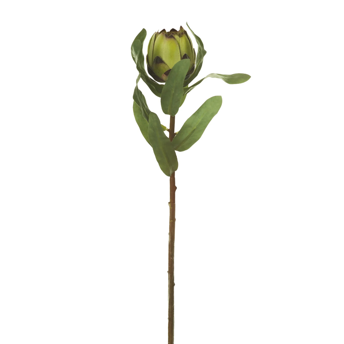 Protea artificial de 47 cm, color verde
