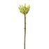Protea artificial de 56 cm, color crema
