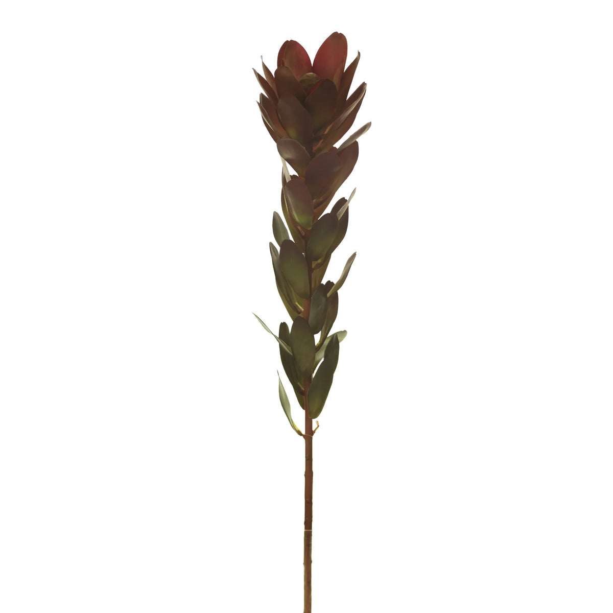 Protea artificial de 70 cm, color burdeos