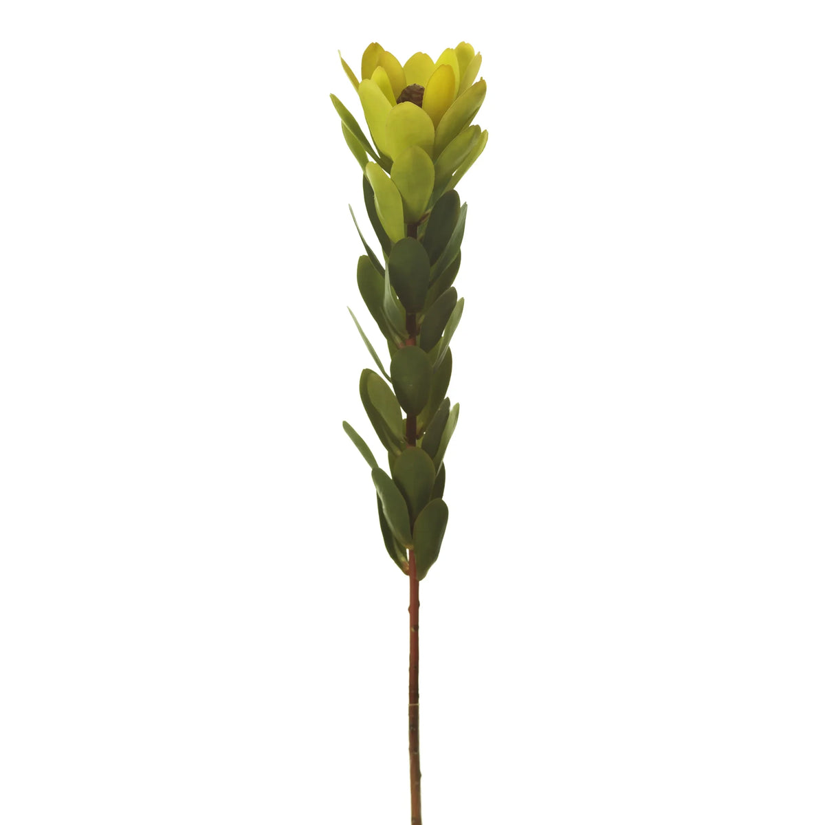 Protea artificial de 70 cm, color granate