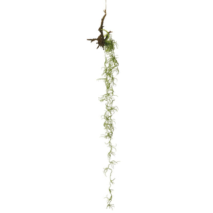 Raíz de Tillandsia artificial Colgante de 95 cm, color verde