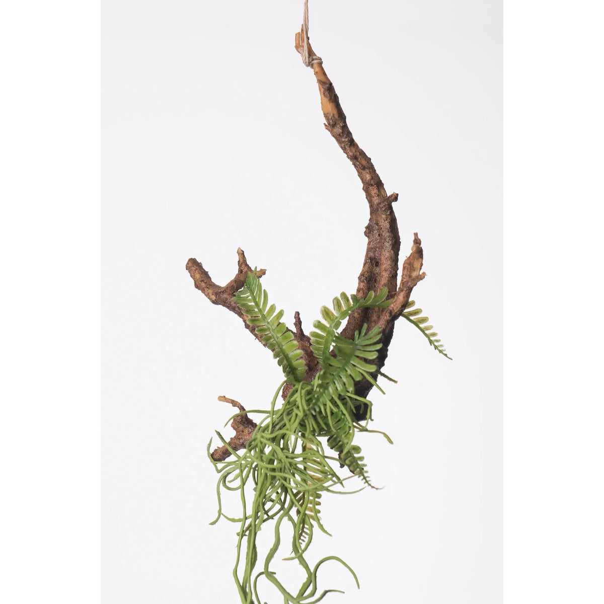 Raíz de Tillandsia artificial Colgante de 95 cm, color verde