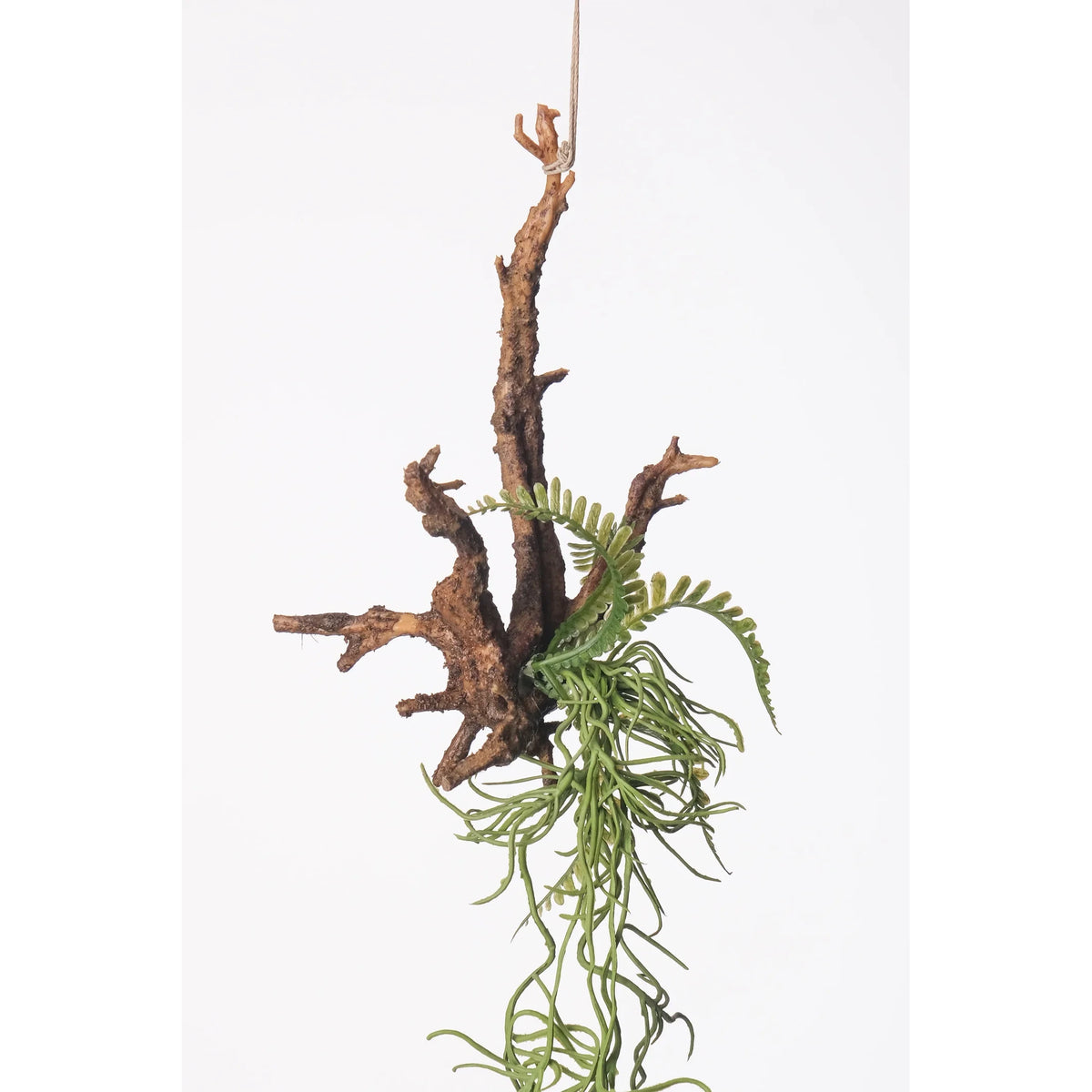 Raíz de Tillandsia artificial Colgante de 95 cm, color verde