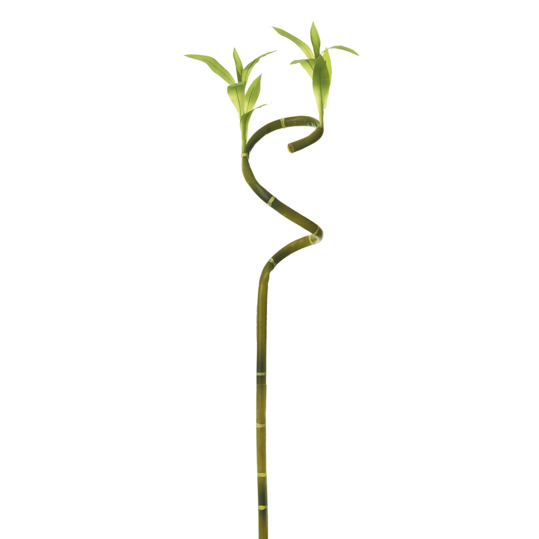 Rama de Drácena Sanderiana artificial de 69 cm, color verde