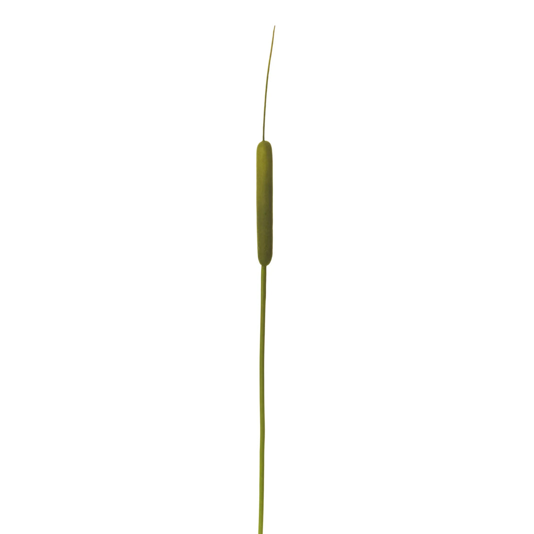 Rama de Espadaña artificial de 130 cm, color verde
