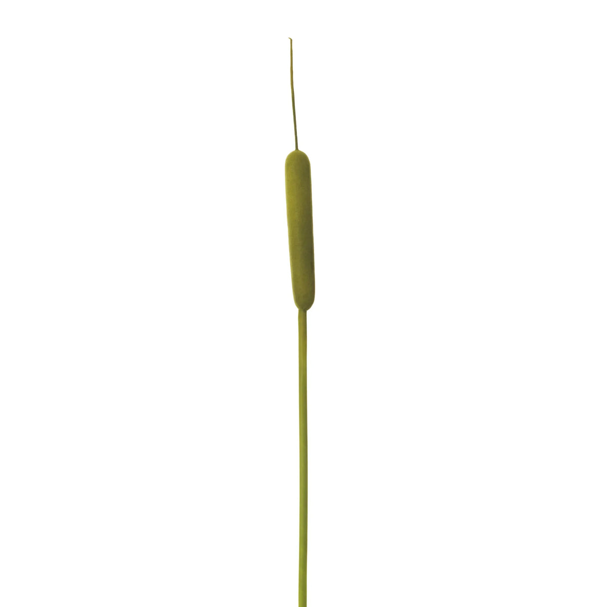 Rama de Espadaña artificial de 97 cm, color verde
