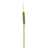 Rama de Espadaña artificial de 97 cm, color verde