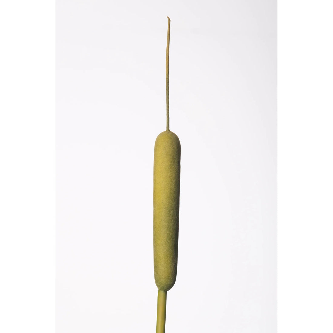 Rama de Espadaña artificial de 97 cm, color verde