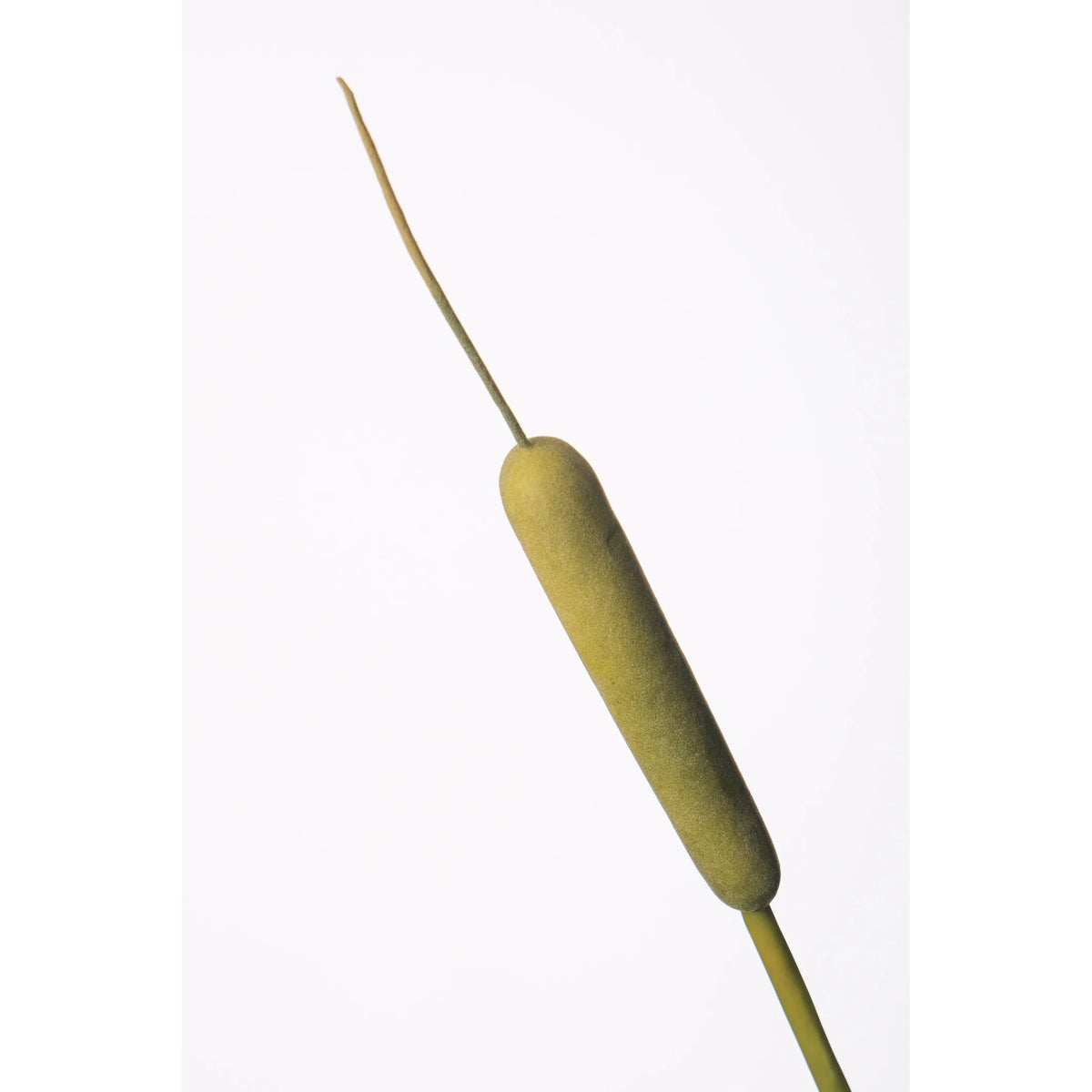 Rama de Espadaña artificial de 97 cm, color verde