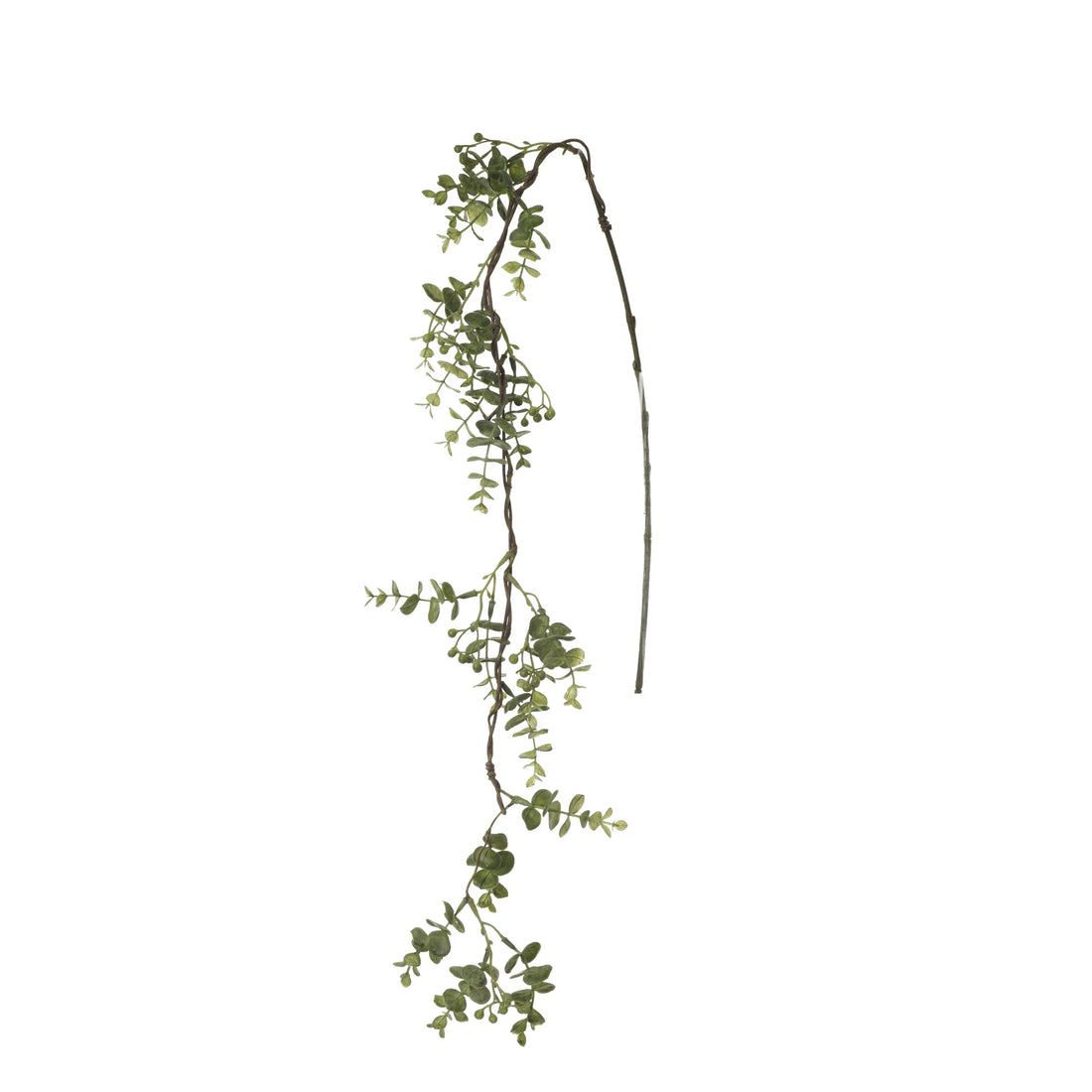 Rama de Eucalipto artificial Colgante de 114 cm, color verde