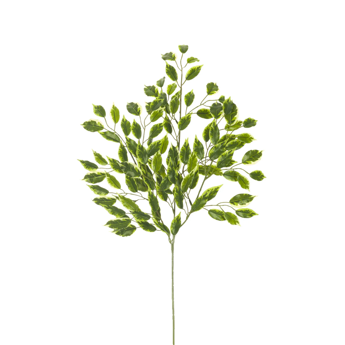 Rama de Ficus Hawái artificial de 70 cm, color bicolor