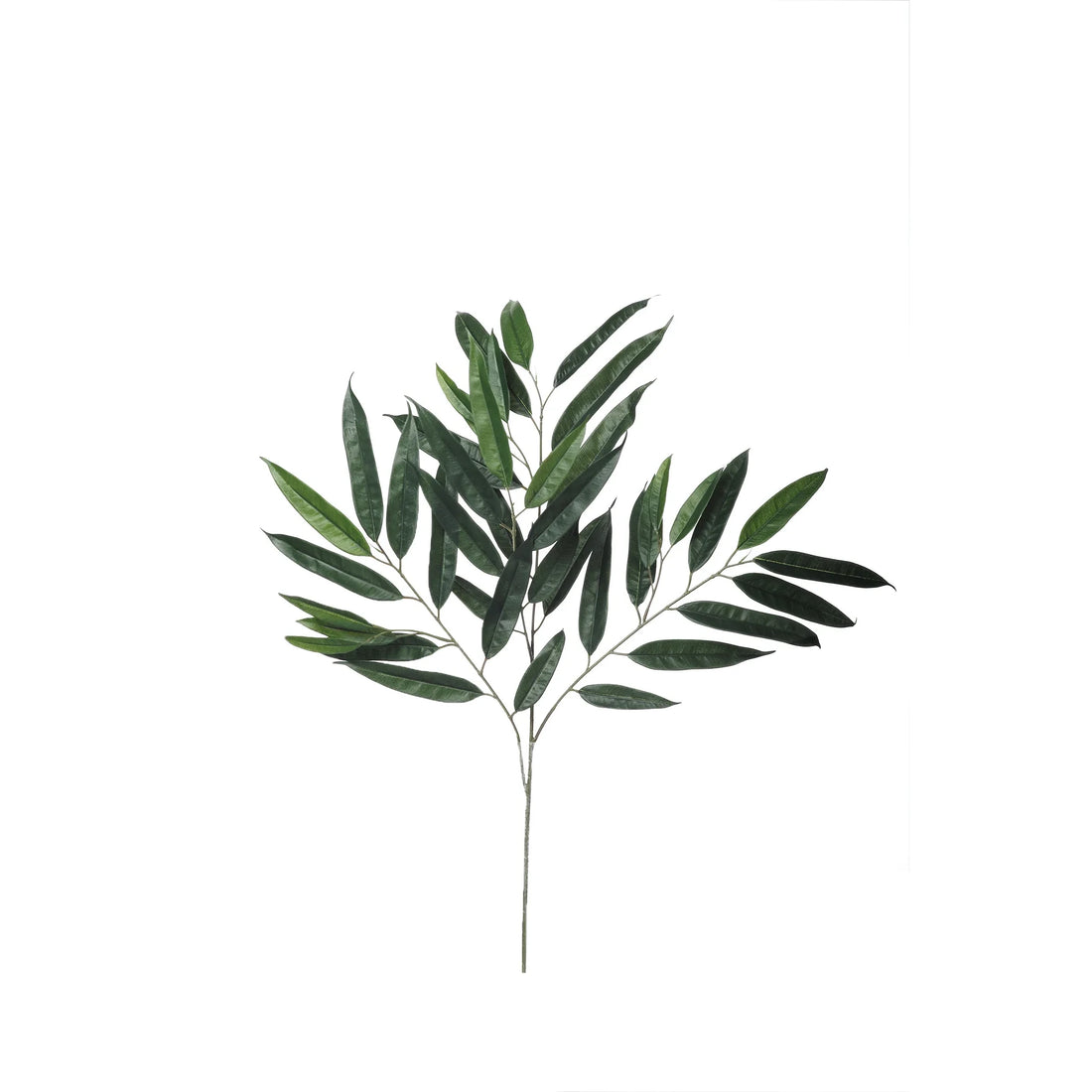 Rama de Ficus Longifolia artificial de 83 cm, color verde