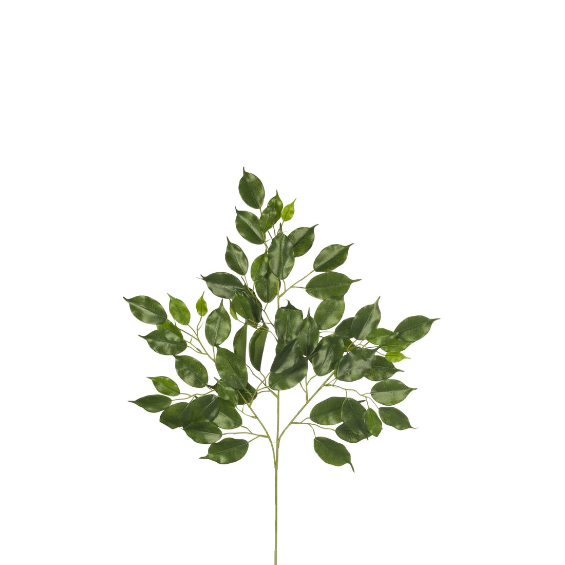 Rama de Ficus Nitida artificial de 71 cm, color verde