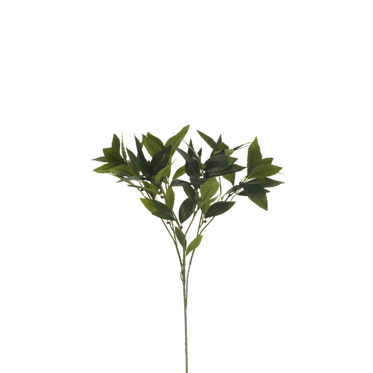 Rama de Laurel artificial de 50 cm, color verde