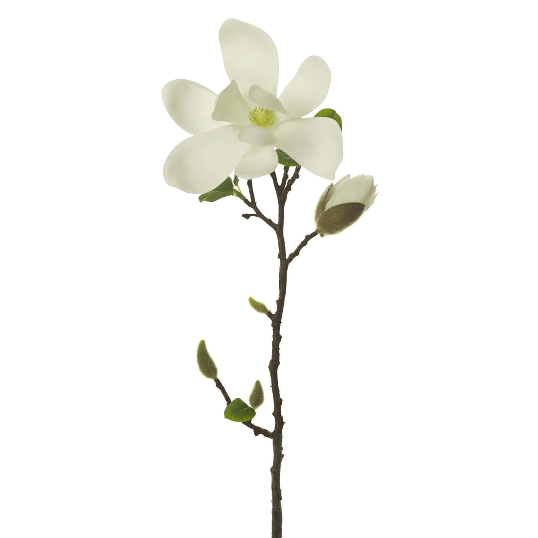 Rama de Magnolia artificial de 56 cm, color blanco