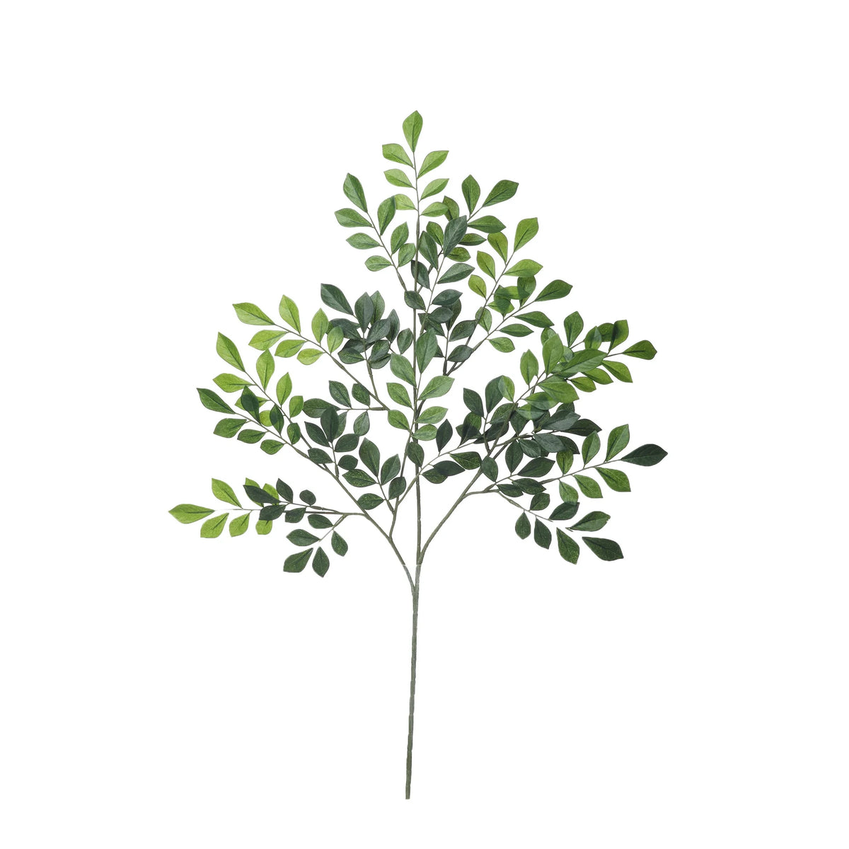 Rama de Murraya artificial de 71 cm, color verde