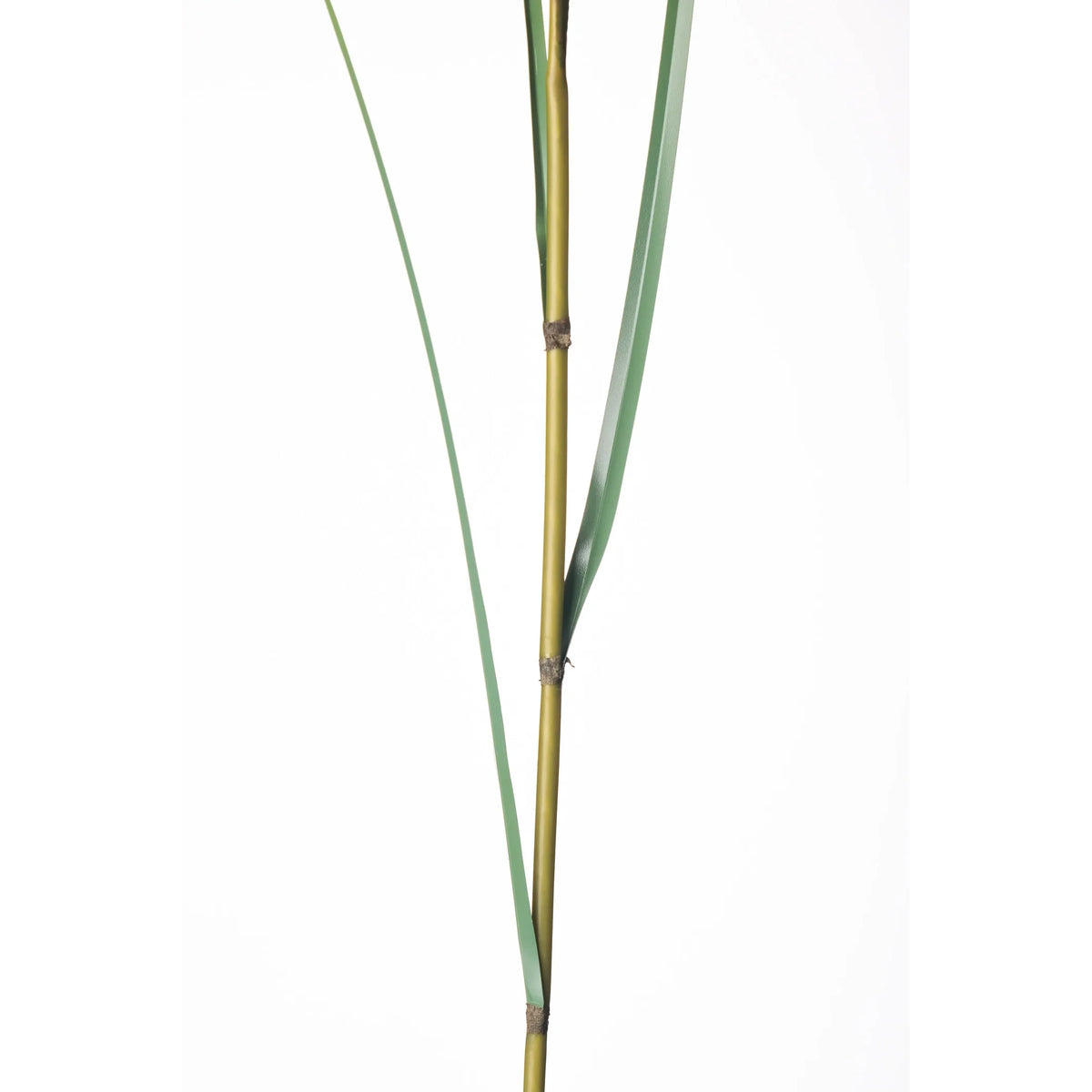 Rama de Pennisetum artificial de 120 cm, color blanco