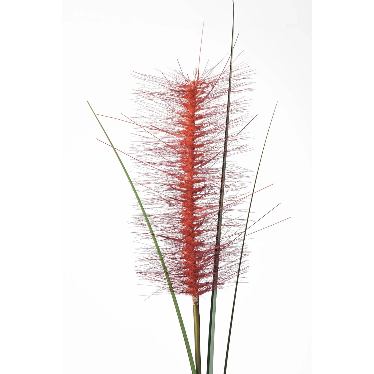 Rama de Pennisetum artificial de 120 cm, color rojo