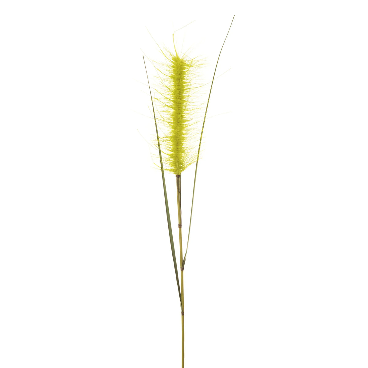 Rama de Pennisetum artificial de 120 cm, color verde